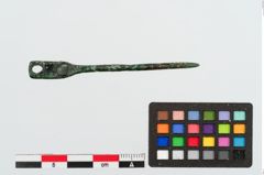 Foto von Bronzenadel (NHMW-PRAE-024969)